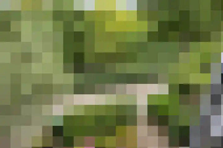 Van Dillewijndreef 7 Amersfoort thumbnail 28