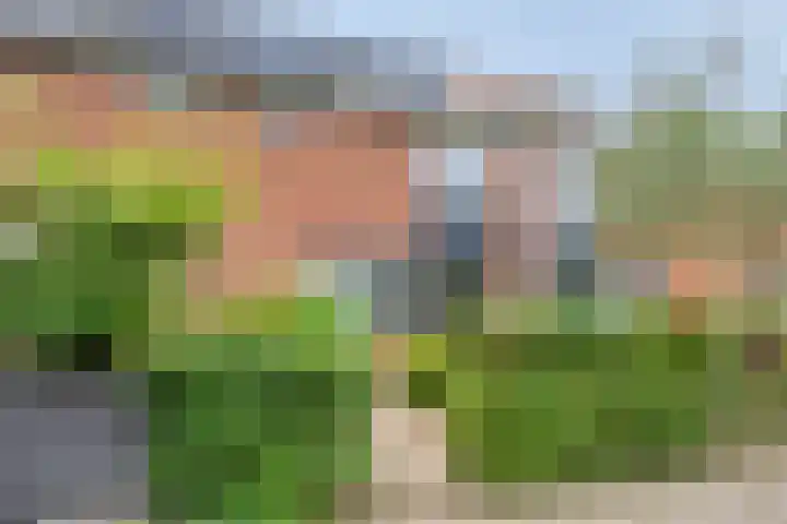Van Dillewijndreef 7 Amersfoort thumbnail 35