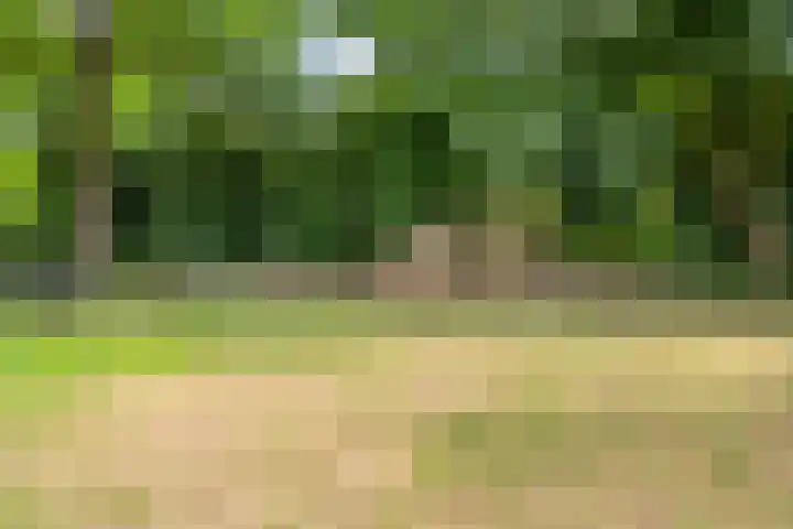 Van Dillewijndreef 7 Amersfoort thumbnail 38