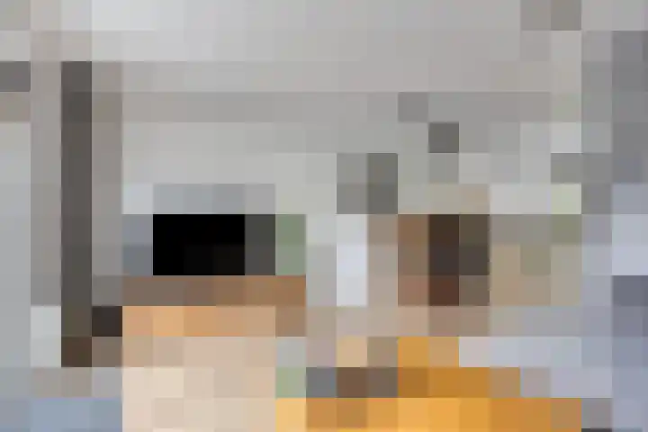 Van Dillewijndreef 7 Amersfoort thumbnail 5