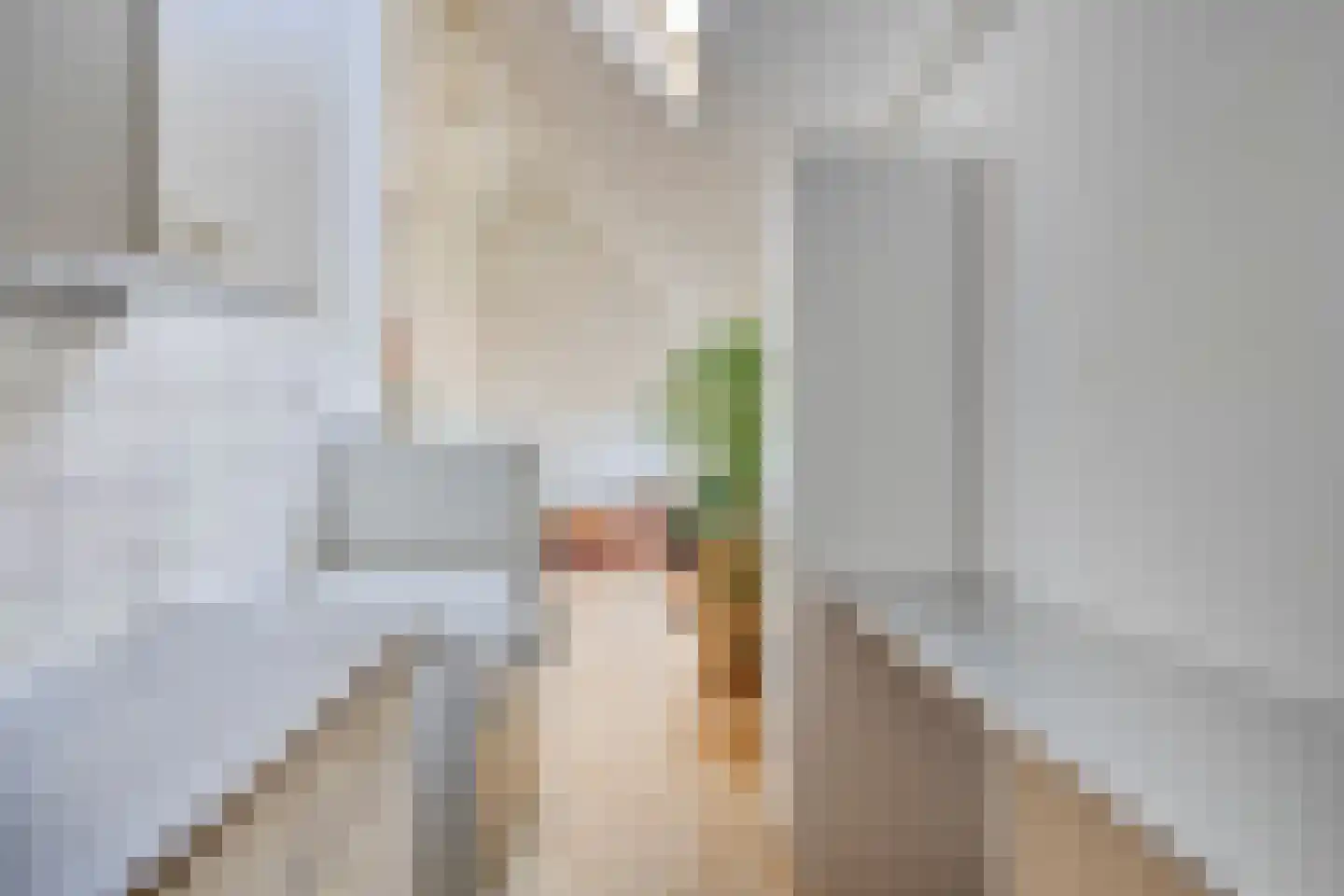 Van Dishoeckstraat 110 Vlissingen thumbnail 21
