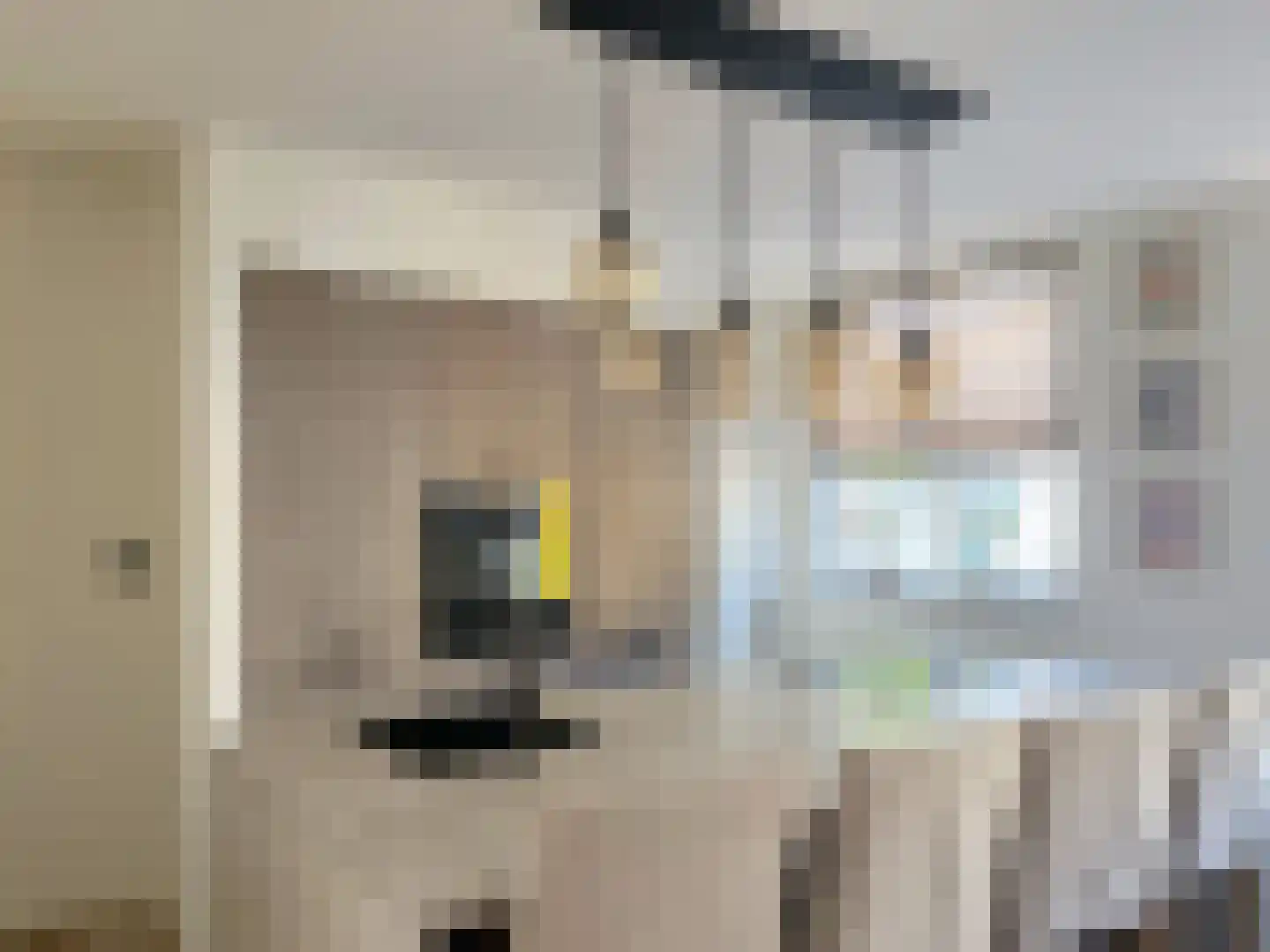 Van Dishoeckstraat 138 Vlissingen thumbnail 31