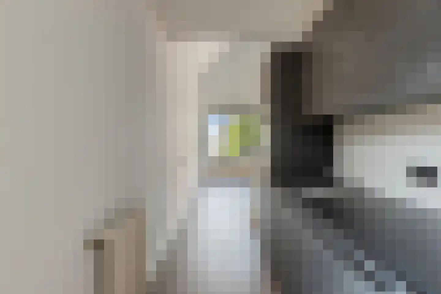 Van Dishoeckstraat 154 Vlissingen thumbnail 17
