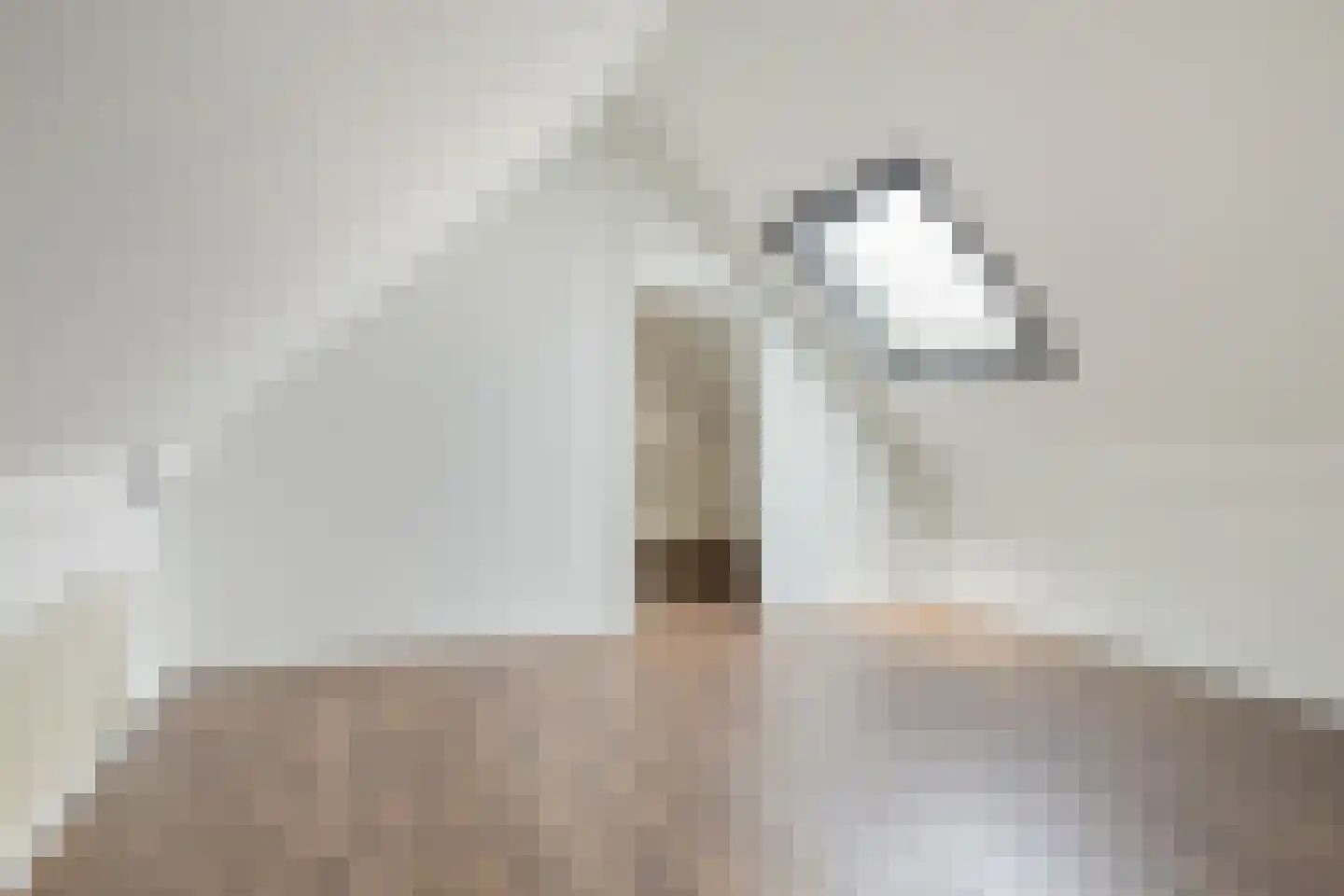 Van Dishoeckstraat 154 Vlissingen thumbnail 30