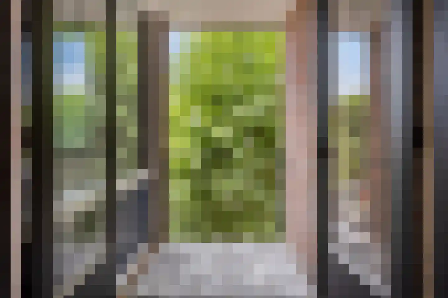 Van Dishoeckstraat 154 Vlissingen thumbnail 33