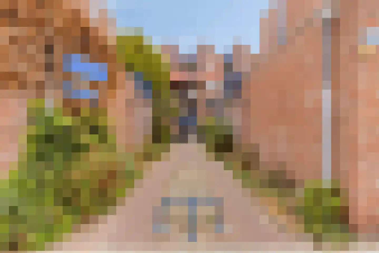 Van Dishoeckstraat 154 Vlissingen thumbnail 39