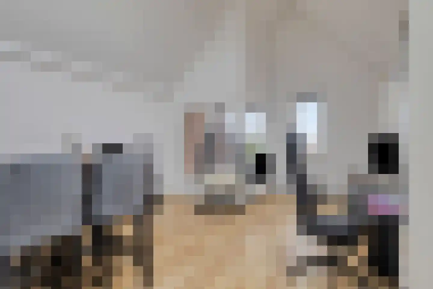 Van Dishoeckstraat 64 Vlissingen thumbnail 6