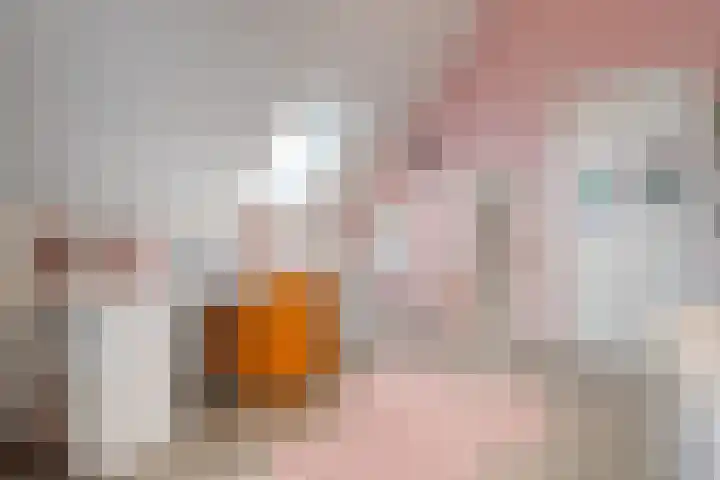 Van Disselstraat 47 Zwolle thumbnail 38