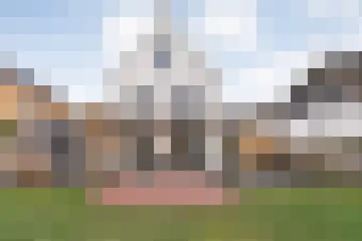 Van Disselstraat 47 Zwolle thumbnail 40