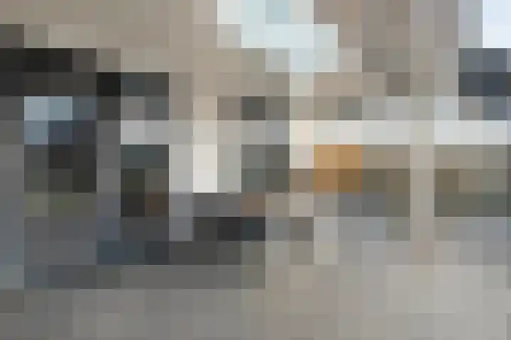 Van Disselstraat 47 Zwolle thumbnail 41