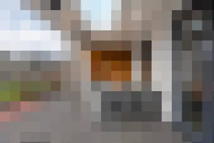 Van Disselstraat 47 Zwolle thumbnail 42