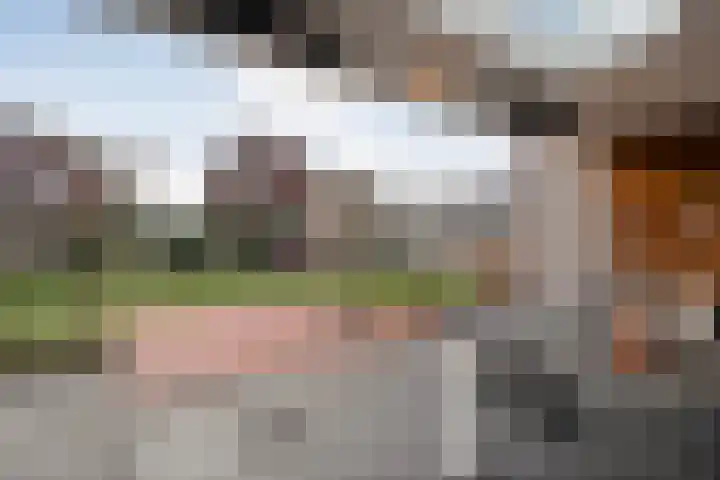 Van Disselstraat 47 Zwolle thumbnail 43
