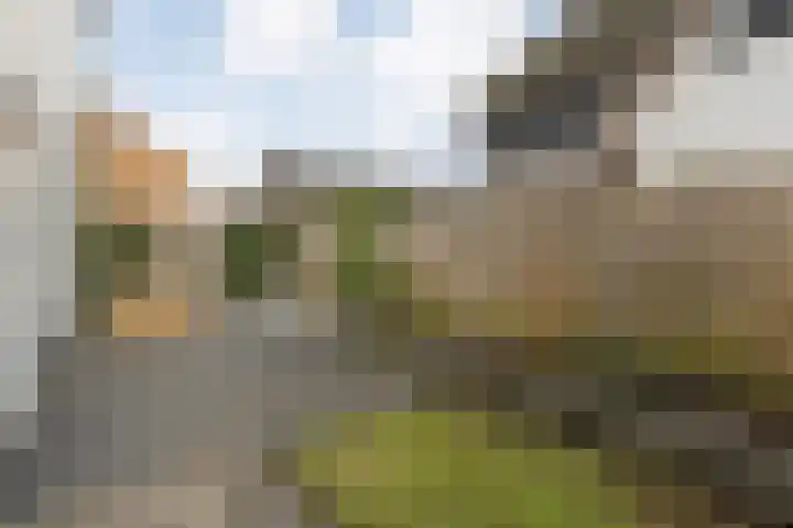 Van Disselstraat 47 Zwolle thumbnail 48