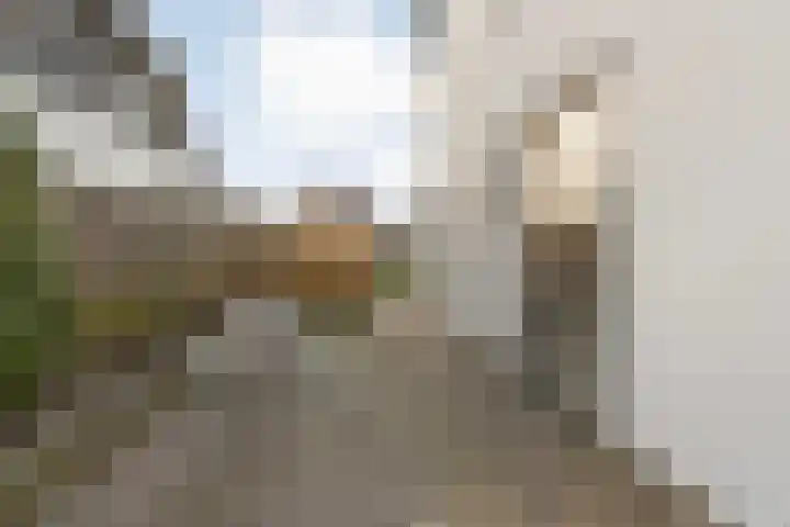 Van Disselstraat 47 Zwolle thumbnail 49