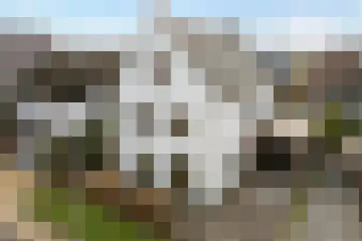 Van Disselstraat 47 Zwolle thumbnail 53