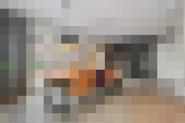 Van Disselstraat 47 Zwolle thumbnail 7