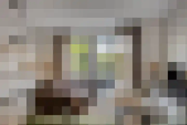 Van Disselstraat 55 Zwolle thumbnail 4
