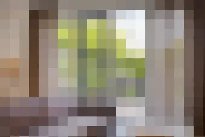 Van Disselstraat 55 Zwolle thumbnail 5
