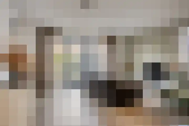 Van Disselstraat 55 Zwolle thumbnail 6