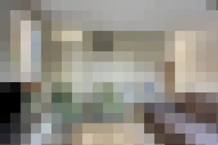 Van Disselstraat 55 Zwolle thumbnail 8