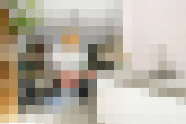 Van Disselstraat 7 Zwolle thumbnail 12