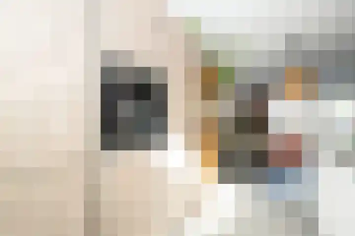 Van Disselstraat 7 Zwolle thumbnail 13