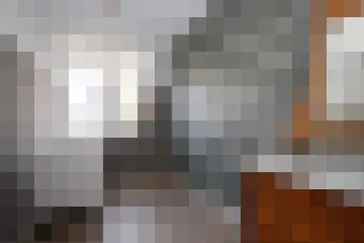 Van Disselstraat 7 Zwolle thumbnail 17