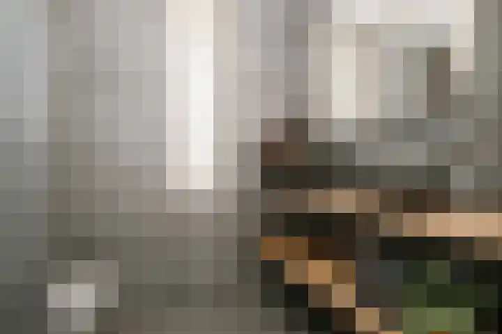 Van Disselstraat 7 Zwolle thumbnail 19