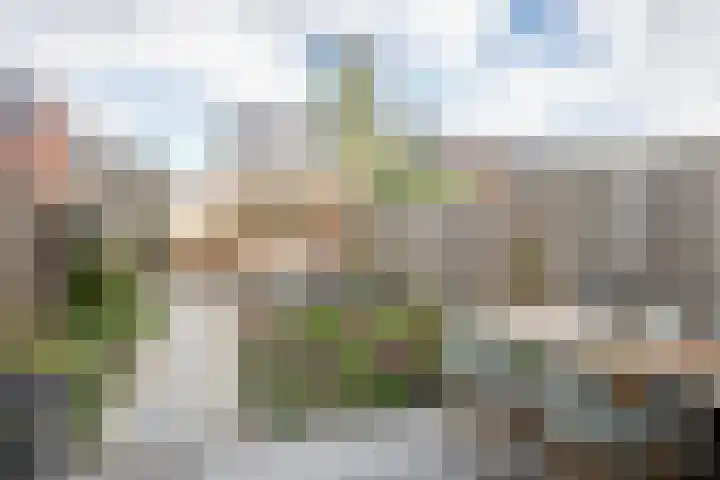 Van Disselstraat 7 Zwolle thumbnail 22