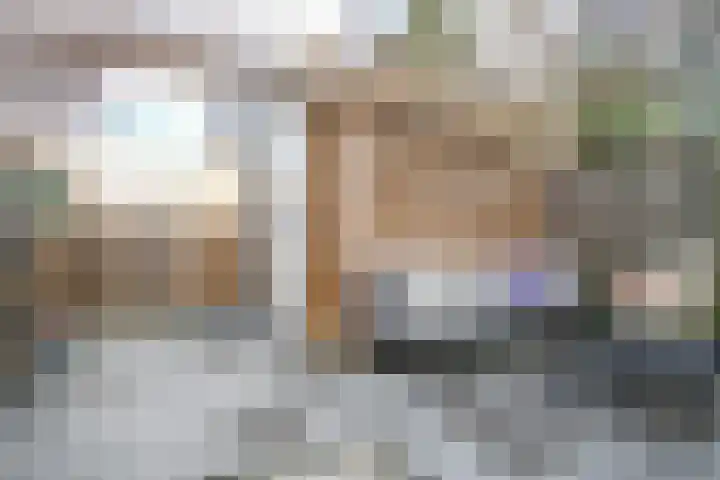 Van Disselstraat 7 Zwolle thumbnail 23