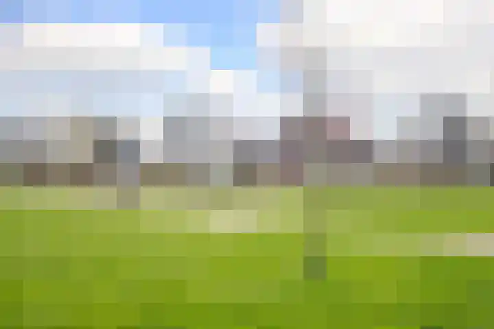 Van Disselstraat 7 Zwolle thumbnail 26