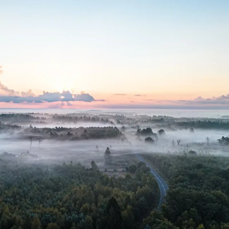 Kantoor foto van Van Ditshuizen Makelaardij O.G. B.V.