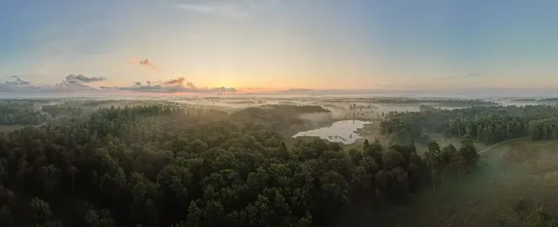 Kantoor foto van Van Ditshuizen Makelaardij O.G. B.V.