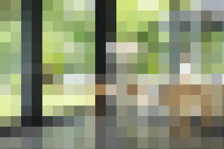 Van Doernestraat 2 Vught thumbnail 17