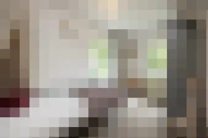 Van Doernestraat 2 Vught thumbnail 26