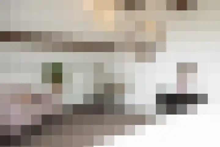 Van Doernestraat 2 Vught thumbnail 34