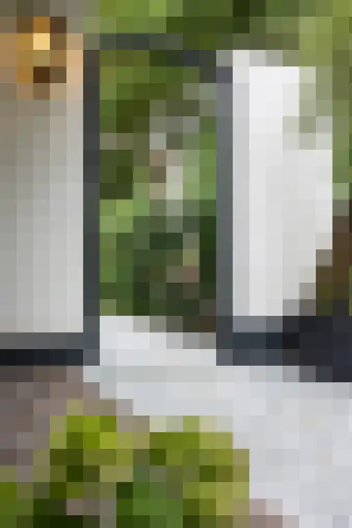 Van Doernestraat 2 Vught thumbnail 43