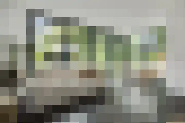 Van Doernestraat 2 Vught thumbnail 5