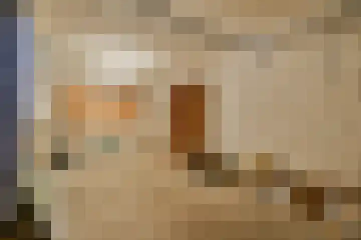 Van Doesburg-erf 44 Dordrecht thumbnail 11
