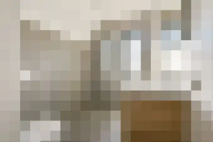 Van Doesburg-erf 44 Dordrecht thumbnail 14