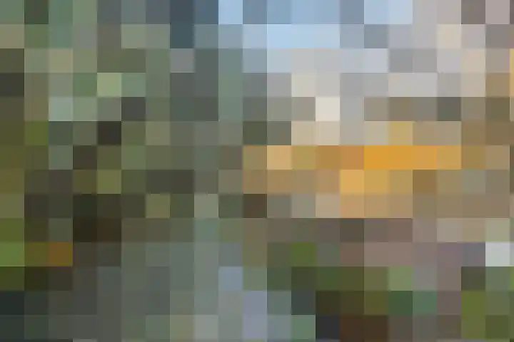 Van Doesburg-erf 44 Dordrecht thumbnail 28