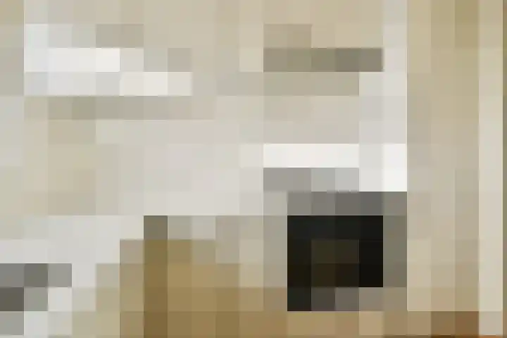 Van Doesburg-erf 44 Dordrecht thumbnail 8