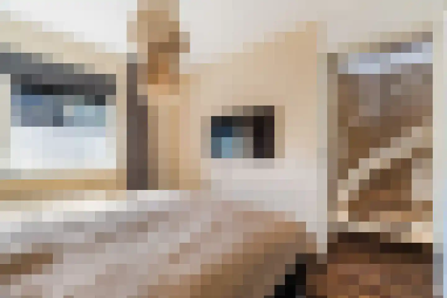 Van Doesburg-erf 74 Dordrecht thumbnail 13