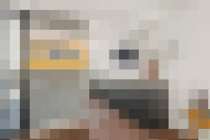 Van Doesburg-erf 83 Dordrecht thumbnail 15
