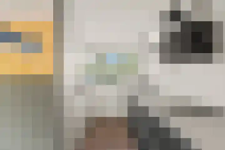 Van Doesburg-erf 83 Dordrecht thumbnail 16