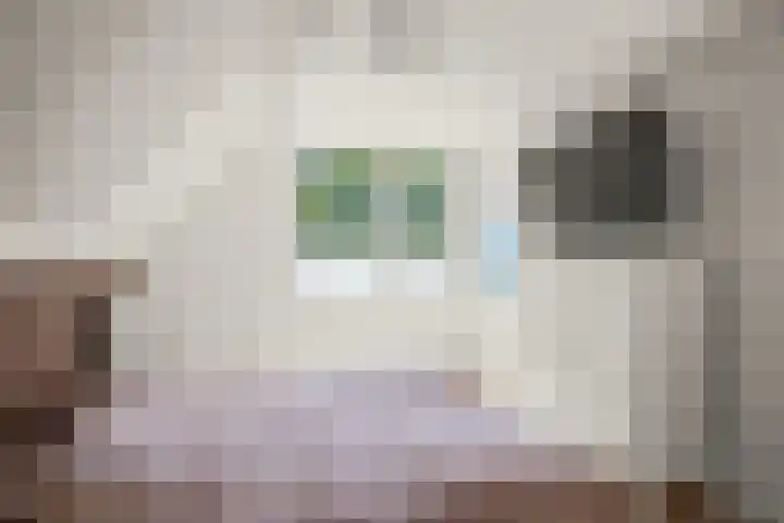 Van Doesburg-erf 83 Dordrecht thumbnail 33