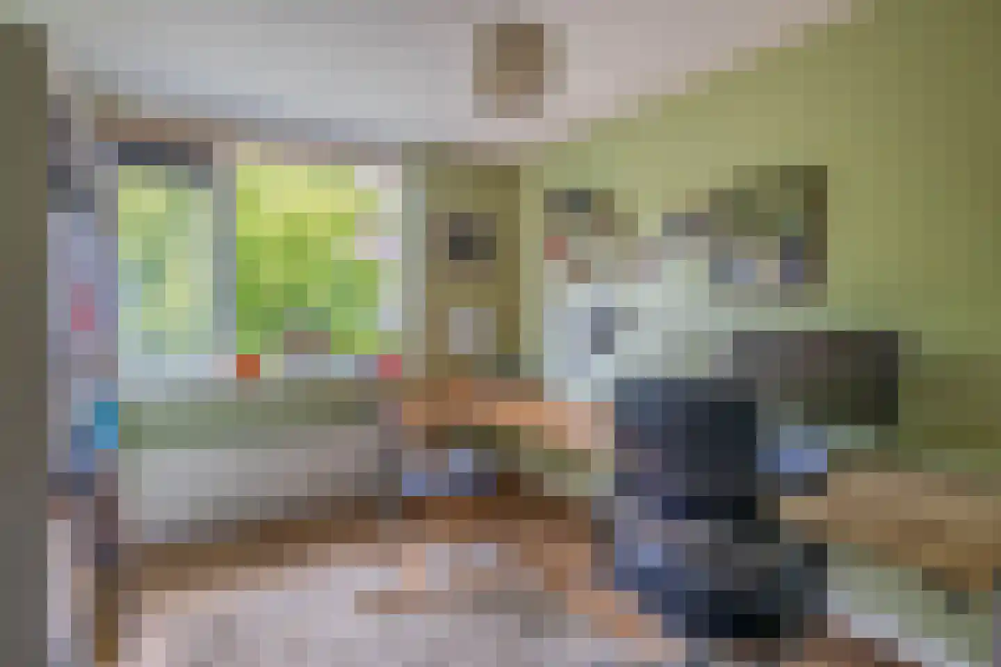 Van Doesburglaan 113 Wageningen thumbnail 21