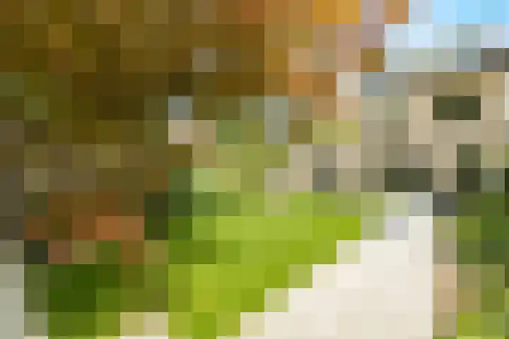 Van Doesburglaan 176 Wageningen thumbnail 28