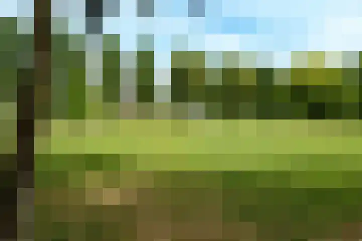 Van Doesburglaan 176 Wageningen thumbnail 30
