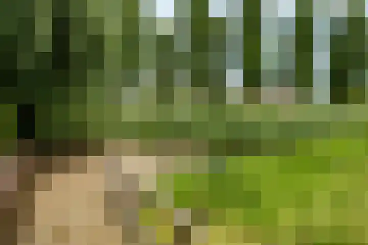 Van Doesburglaan 176 Wageningen thumbnail 32
